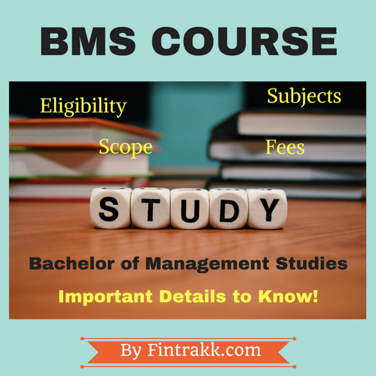 BMS Course or Bachelor of Management Studies Eligibility, Subjects